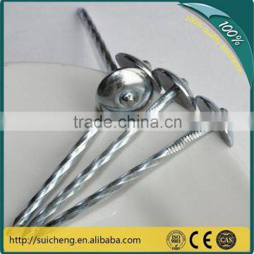 Guangzhou factory Free Sample 20kg per carton Galvanized Roofing Nails for sale Nails Factory