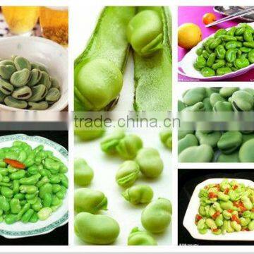 canned broad beans