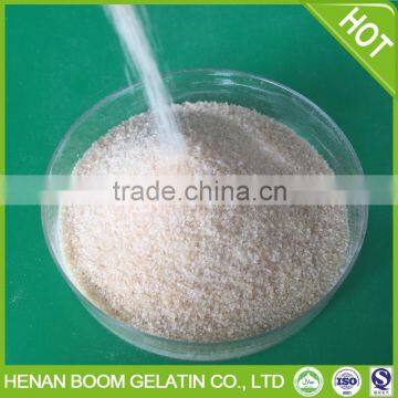 Edible Gelatin Sheets photo-2