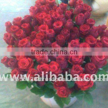 Fresh Cut Fresh Cut Hot Roses