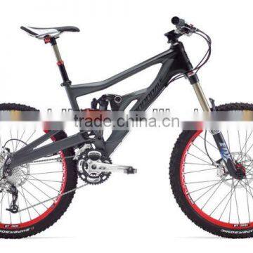 2013 deseo most popular mountain bike