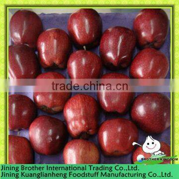 China apple huaniu