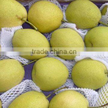 Fresh Ya Pear 2014 / New Season Asian Crystal Golden Pear