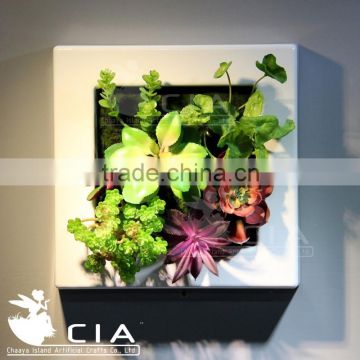 Creatively Designed Artificial Succulent Plants Art Vertical Wall decor Plants