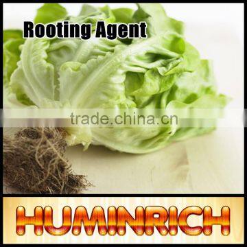 Huminrich Shenyang SH9011-7 Sprinkler Fertilizer 55% Content Super Potassium F Humnat photo-2