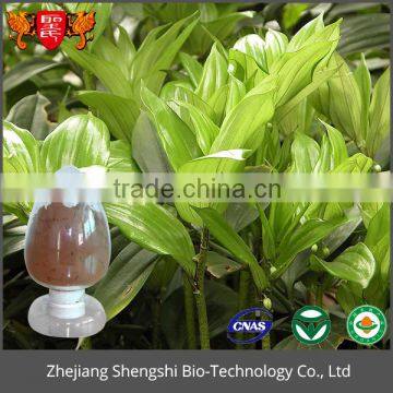 Organic natural plant extract powder odoratum powder