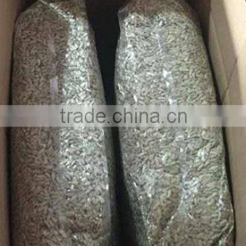 Hot Sale Bakery Grade Sunflower Kernels With Good Quality photo-4