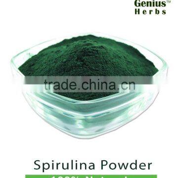 Spirulina Powder for Sale