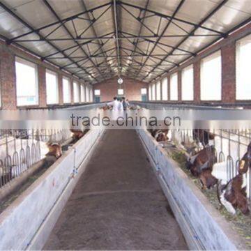 steel structure cow shed