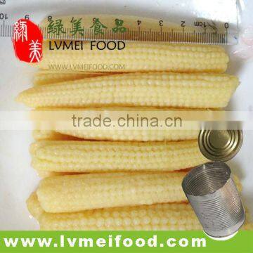 Sweet canned baby corn with low price