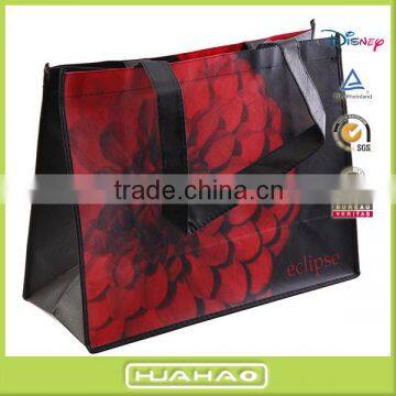 China Laminated Eco Shopping Nonwoven Bag for Shoes