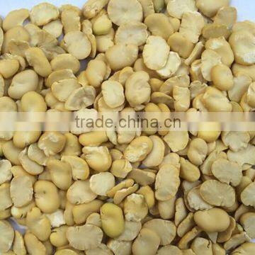 2014 Crop Dried Broad Beans Split, Peeled Without Shell photo-2
