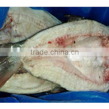 Gutted Scaled Silver Carp Frozen Fish