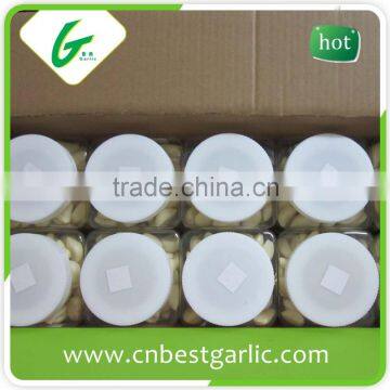 Fresh Peeled Garlic Bag Packing photo-2