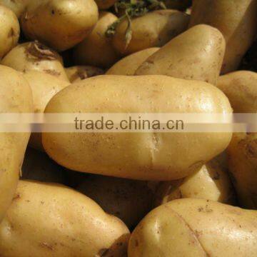 2012 fresh potato price