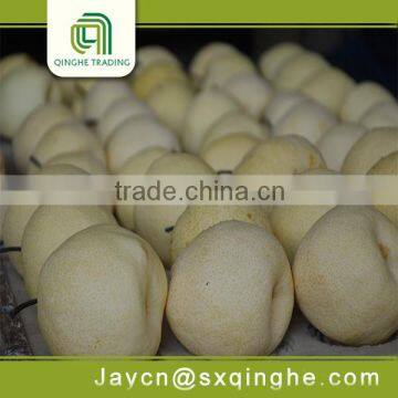 bulk su pear export from china