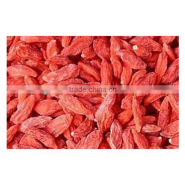 goji berry