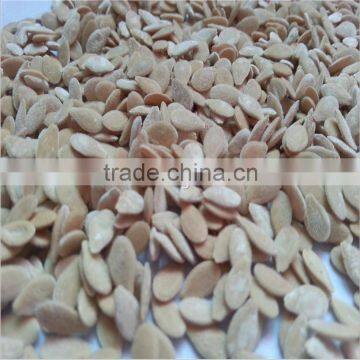 Kewana Seeds Jelly Melon Seeds The Horned Melon For Growing photo-6