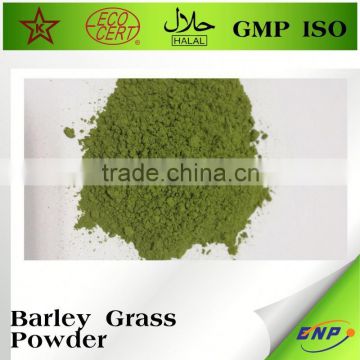 Natural Blending Barley Grass Juice Powder