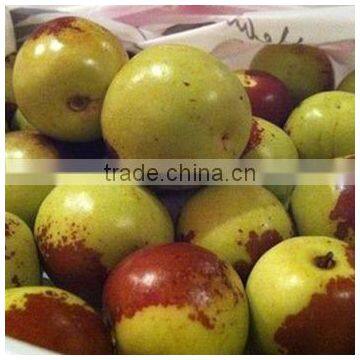 Vacuum Fried Crispydate With Fresh Winter Jujube photo-4