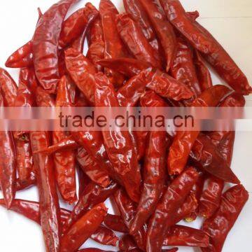 Exporters of Medium Hot Chilli/Sanam Chilli/S 4 Chilli/S 334 Chilli