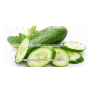 Cucumber oil