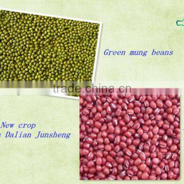 Beans/green beans/ red beans China Dalian Junsheng