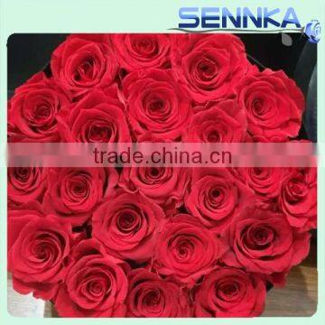 Real natural Rose wholesale preserved flower