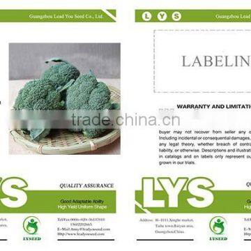 NBR02 Chaduo Hybrid Broccoli Seeds Different Types of Seeds photo-2