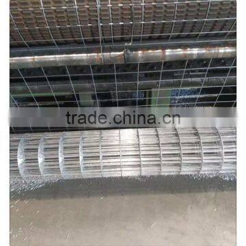 1*30m 1 inch galvanized welded wire mesh / galvasnized wire cloth