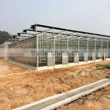 Economical Multi-span Greenhouse For Agriculture Polycarbonate Sheet photo-4
