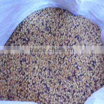 WPC PP PE Wood Plastic Pelletizing Equipment photo-2