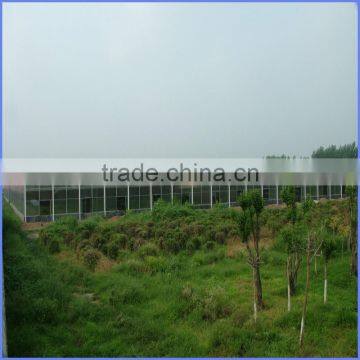 6mm Greenhouse Polycarbonate Sheet Price