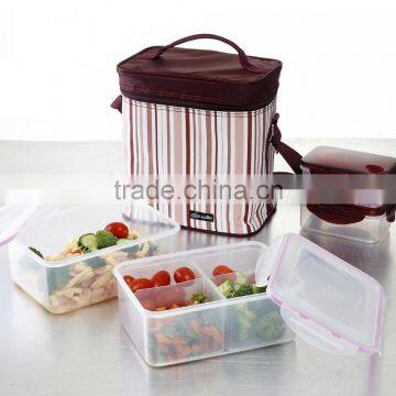 Waterproof 8.9L Travel Picnic Lunch bag Snack Tote Isothermic Cooler Handbag With Set of Lunch Box