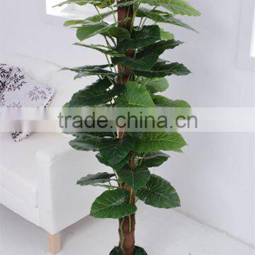 SJ3001004 Landscaping decorative plant / fake alocasia macrorrhizaiata indoor wedding decoration