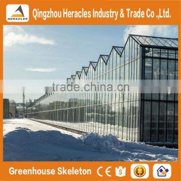 Heracles Gothic Glass Greenhouse for Strawberry photo-3