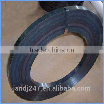 High Quality Professional Product Hoop Iron Strap