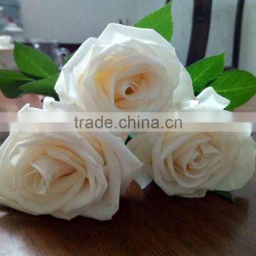 Natural Fresh Cut White Rose Flower Mother's Day Gift Processing Type Export From Yunnan photo-3