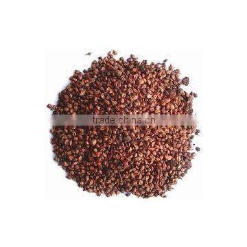 Grape Seed Extract photo-2