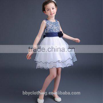 High Quality Girls Sleeveless Princess Children Flower Girl Dress for Party Prom Dresses photo-2