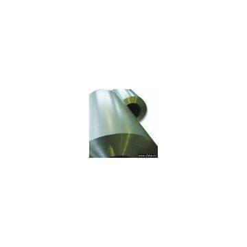 Coated Aluminum Coil