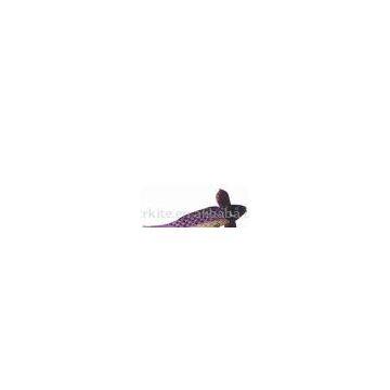 Fish kite