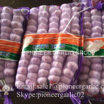 Small Packing 5.5-6cm Fresh Red Garlic Produced In Jinxiang Shandong China photo-4