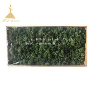 Hot Selling Green Moss Grass Wall for Decoration photo-2