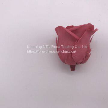 Top Quality Long Lasting Roses Real Preserved Roses Wholesale From Kunming Yunnan photo-4