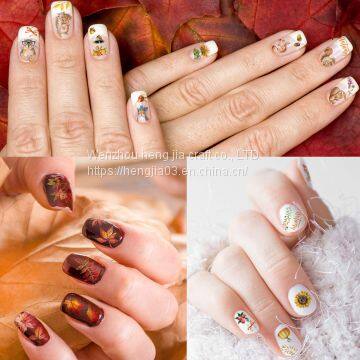 Autumn Autumn Nail Art Applique 3 d Nail Self-adhesive Paper ms Maple Leaf Sunflower Squirrel is Suitable for the Girl Child to Get Pumpkins DIY Design Nail Nails on Thanksgiving Day photo-5