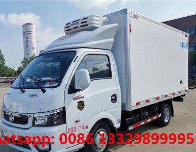 Customized Dongfeng Tuyi 4*2 LHD Petrol Engine Mini Refrigerated Van Truck for Sale 0.5T-1T photo-2