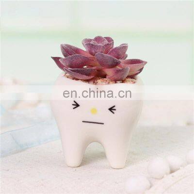 Fashion Garden Decor Succulent Planter Home And 2021 Guangdong Flower Pots Planters Potted Faux Plants Cute Tooth Shape Pot