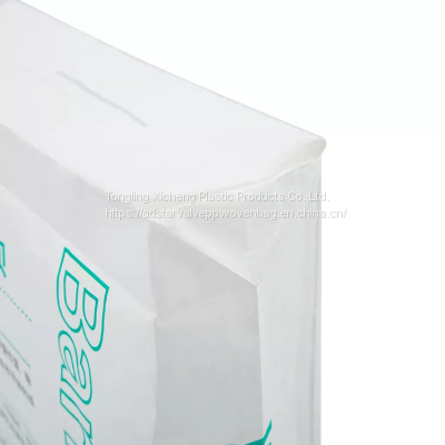 printing 25 kg kraft paper valve bag for dry powder packaging