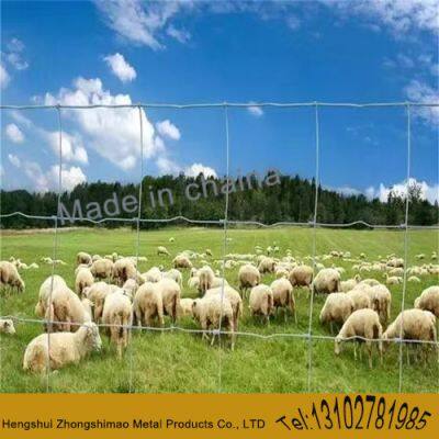 Grassland Fence